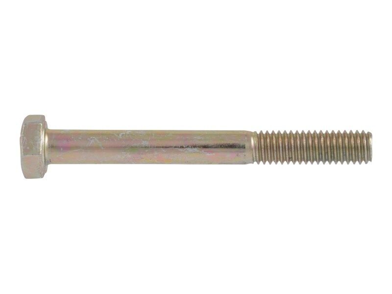 SCR CAP HH 8.8,6-1.00X55MM