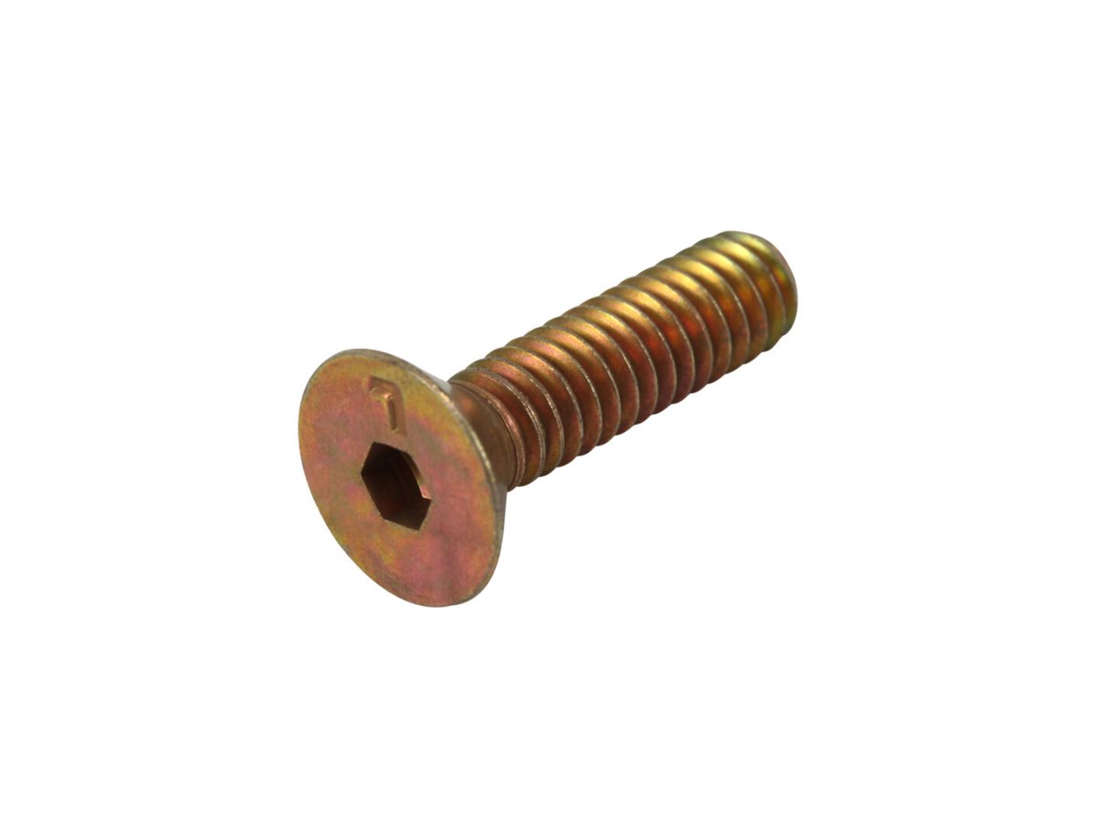 SCR FLT HD SOC,.250-20X1.000