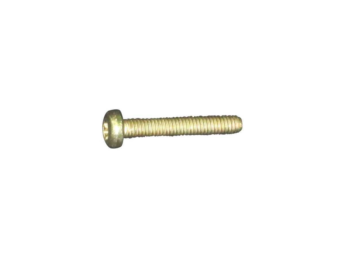 SCREW, 4MM X 25